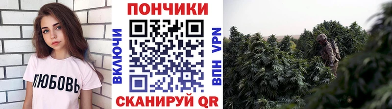 Каннабис конопля  где можно купить наркотик  Тырныауз 